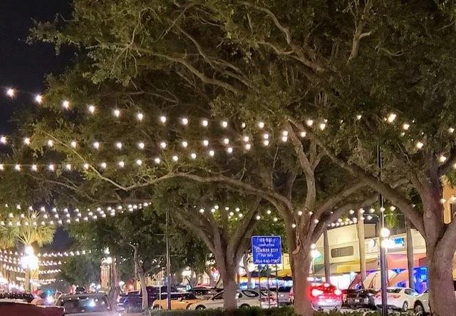 1208 N 25th ave, Hollywood FL 33020