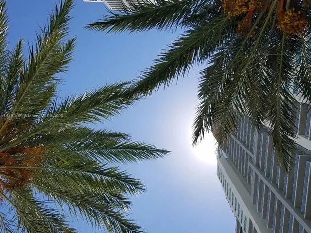 253 NE 2nd St # 906, Miami FL 33132