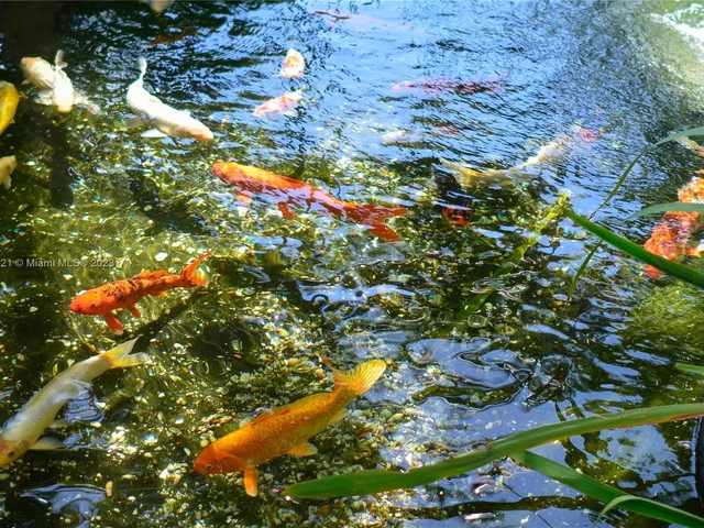 1121 Crandon Blvd # D1206, Key Biscayne FL 33149