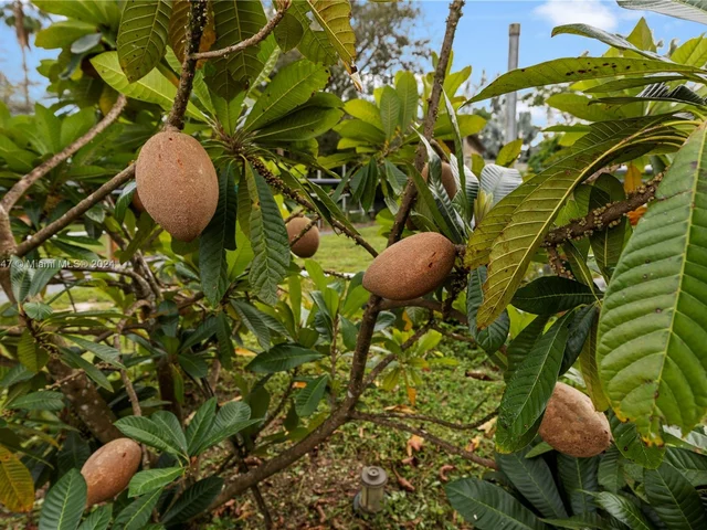 19450 SW 234th St, Homestead FL 33031