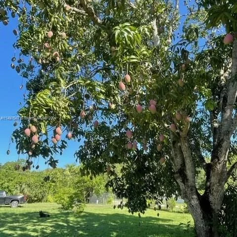 19450 SW 234th St, Homestead FL 33031