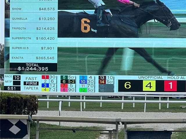 117 SE 3rd Ave # 9, Hallandale Beach FL 33009