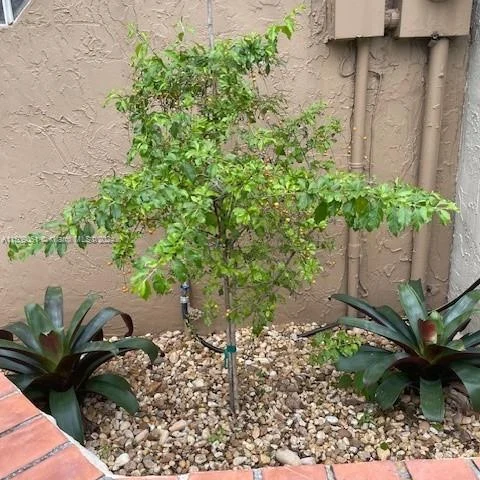 7892 NW 7th Ct # 7892, Plantation FL 33324