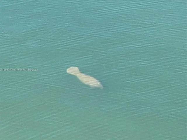 2841 NE 163rd St # 1007, North Miami Beach FL 33160