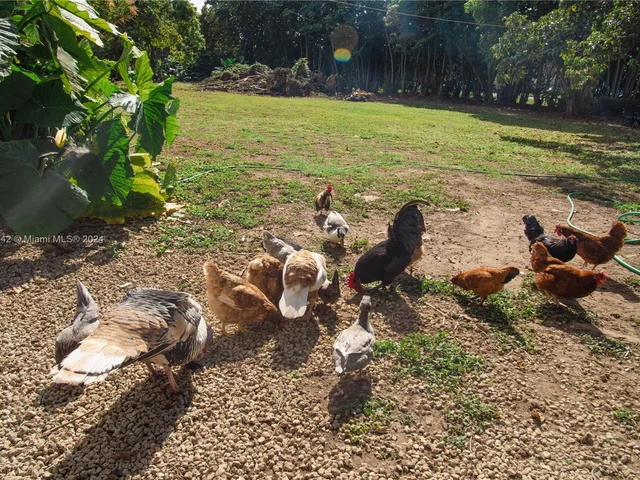 16025 SW 244th St, Homestead FL 33031