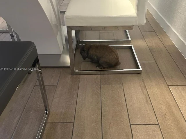 630 NE 5th Ter, Florida City FL 33034