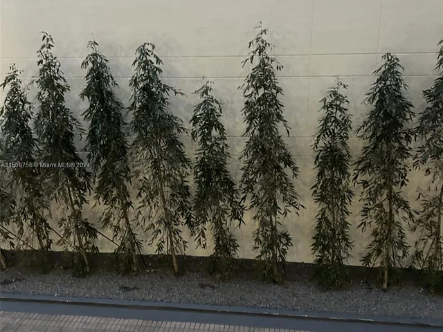 3180 SW 22nd Ter # 204, Miami FL 33145