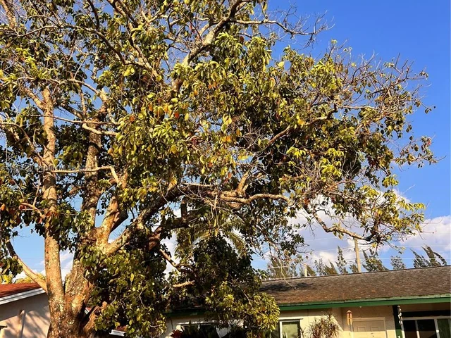 11300 NW 45th Pl, Sunrise FL 33323