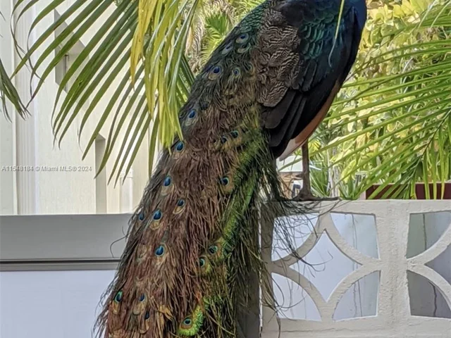 4131 El Prado Blvd, Miami FL 33133