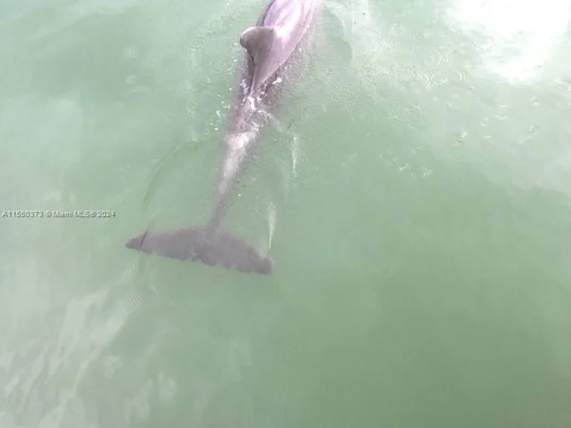 1200 Bay Dr, Miami Beach FL 33141