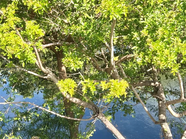 7829 Miller Dr # B202, Miami FL 33155