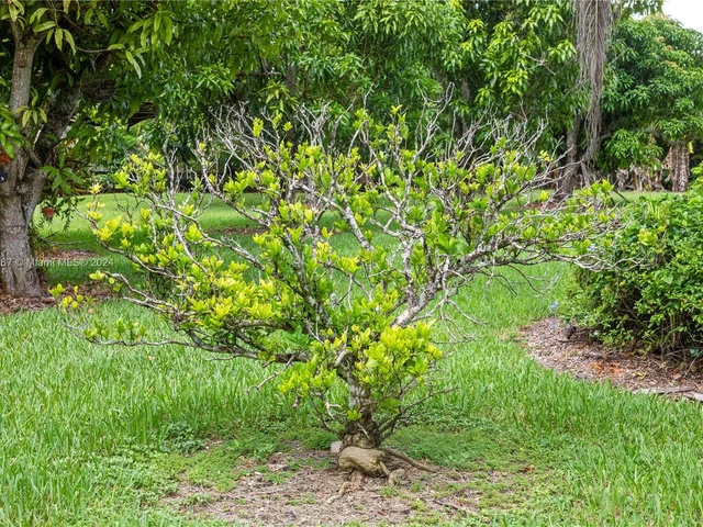 19891 SW 244th St, Homestead FL 33031