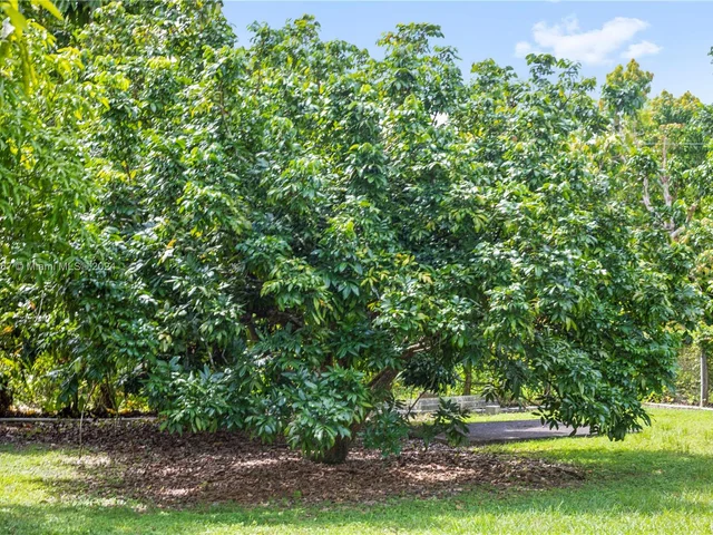 19891 SW 244th St, Homestead FL 33031