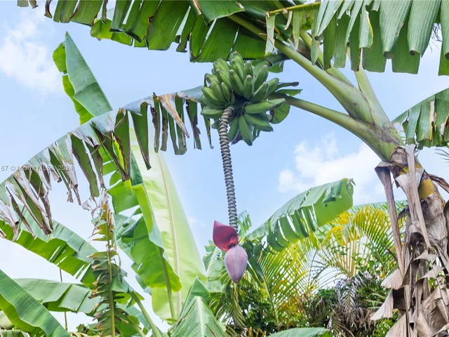 19891 SW 244th St, Homestead FL 33031