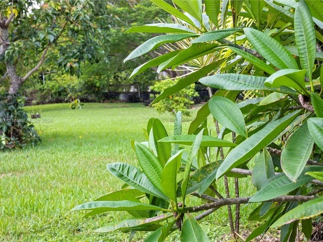 19891 SW 244th St, Homestead FL 33031