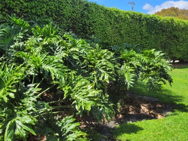 730 NW 91st Ter # 730, Plantation FL 33324