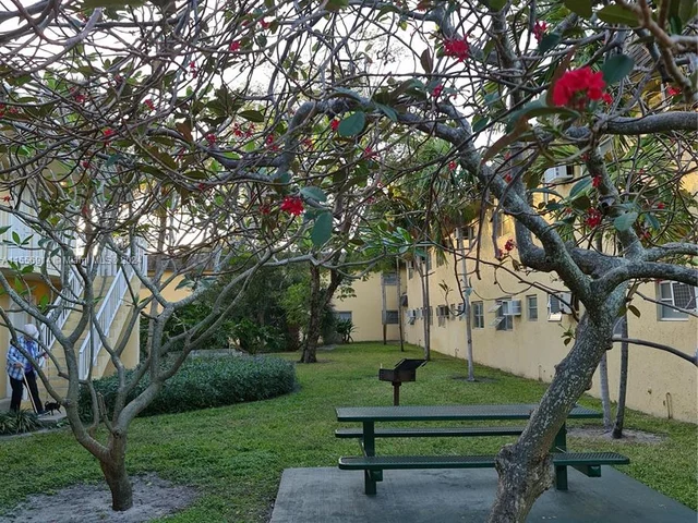 5162 NE 6th Ave # 306, Oakland Park FL 33334