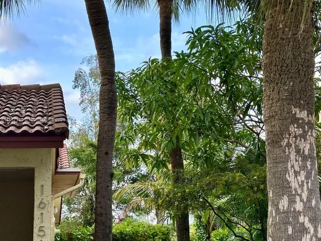 16151 Laurel Dr, Weston FL 33326