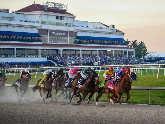 215 SE 3rd Ave # 203B, Hallandale Beach FL 33009