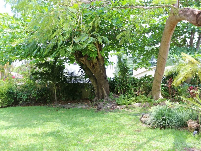 3375 Franklin Ave # D, Miami FL 33133