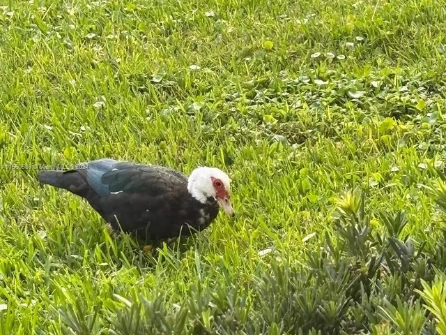 70 Dorset B # 70, Boca Raton FL 33434