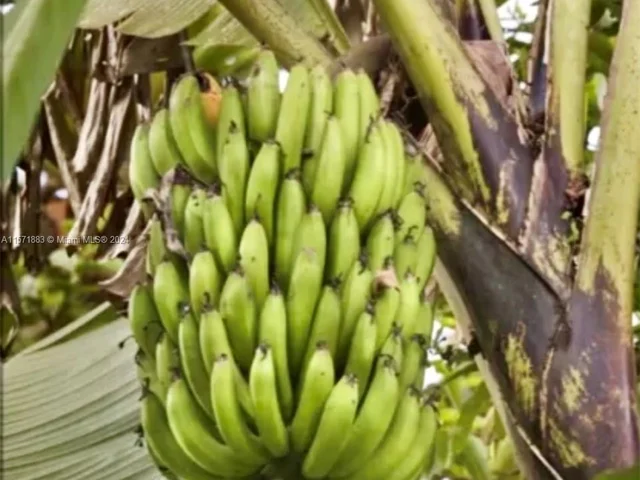 21501 SW 187th Ave, Miami FL 33187