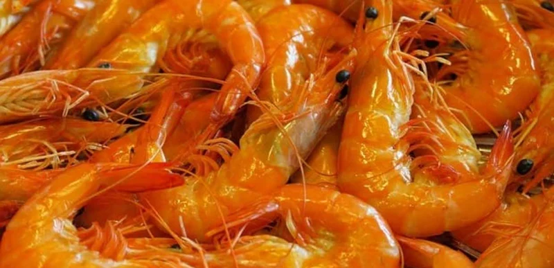 Gastronomía Miami: las mejores opciones para comer en la ciudad