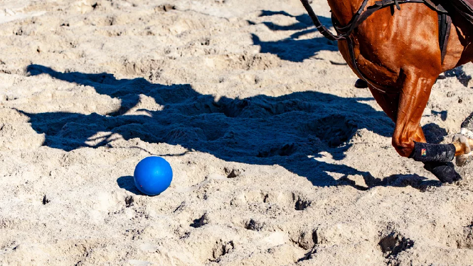 Beach Polo World Cup